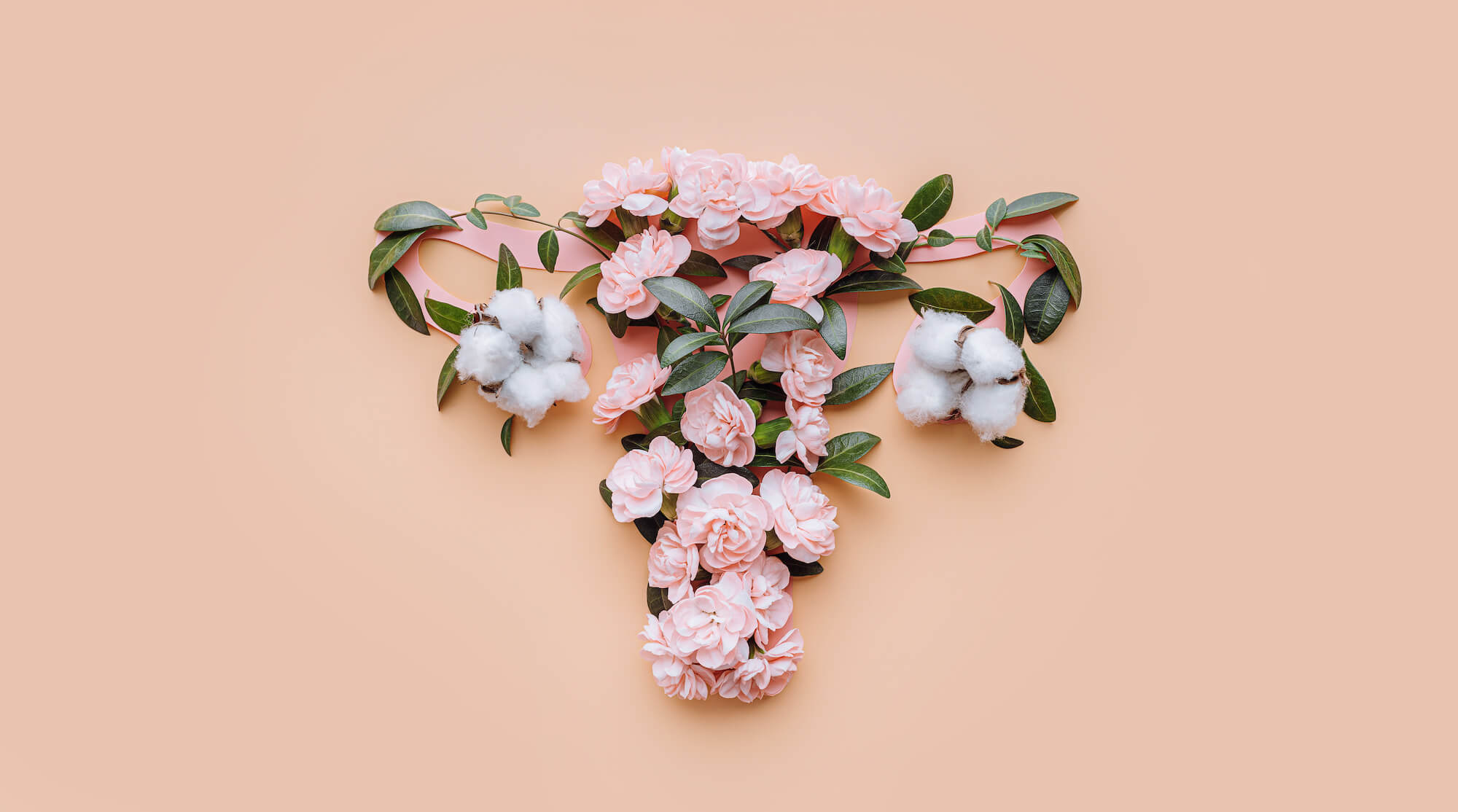 Picture of Flowers in shape of uterus