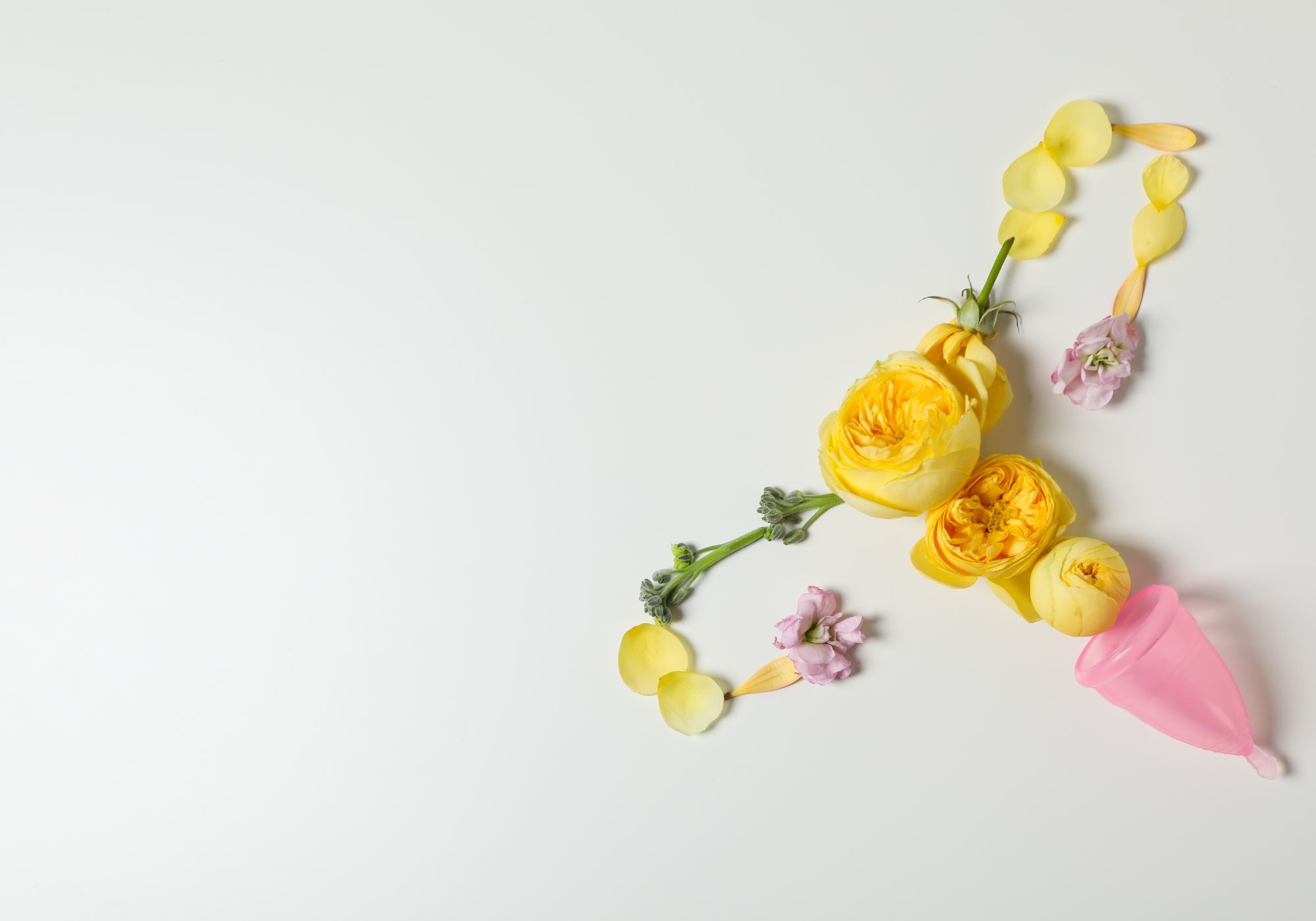 Flowers in shape of woman's womb