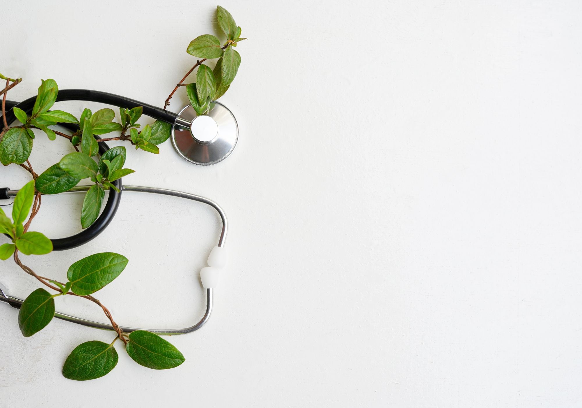 Stethoscope and plants