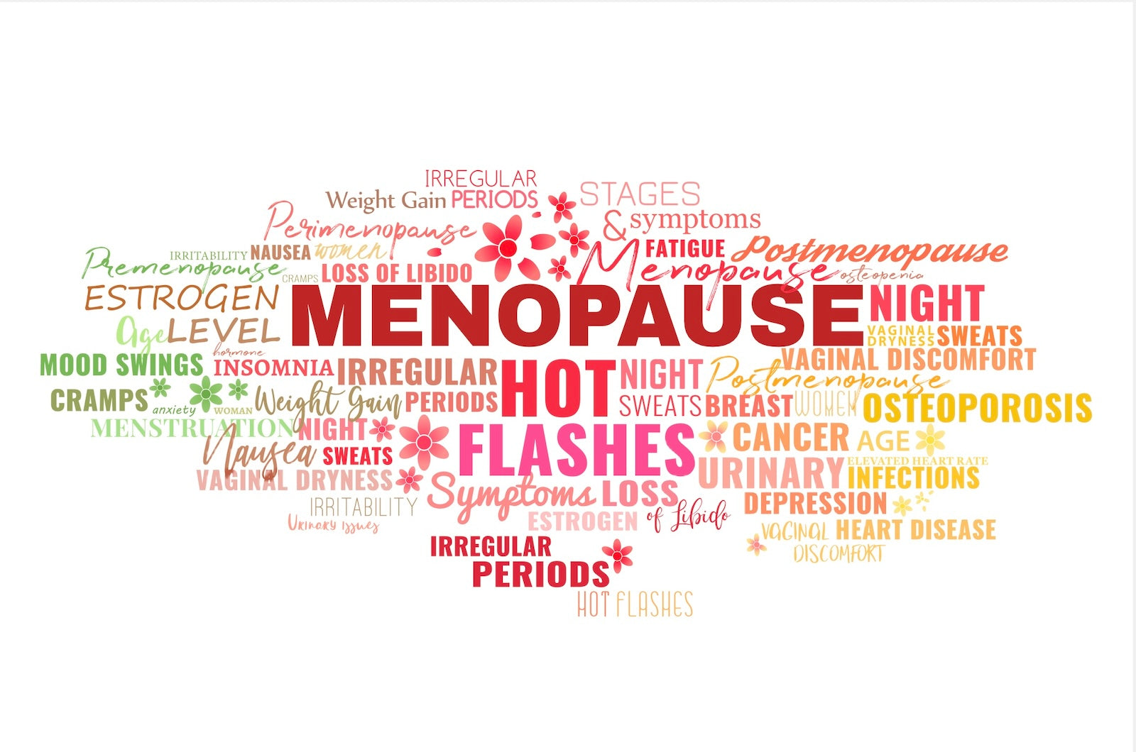 Menopause word cloud
